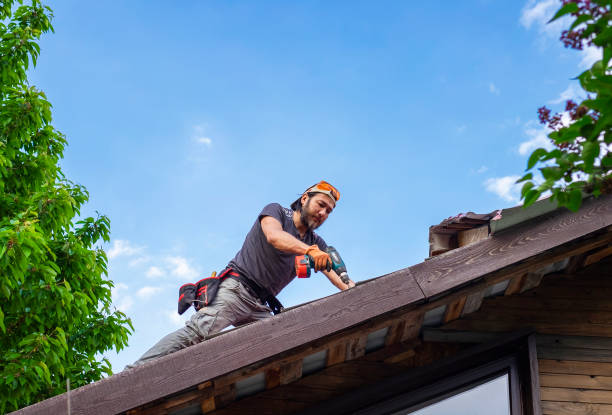 Best Roof Coating and Sealing  in Horse Pasture, VA