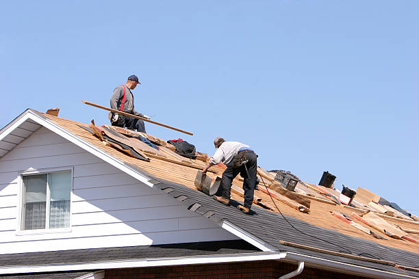 Horse Pasture, VA  Roofing repair and installation Company