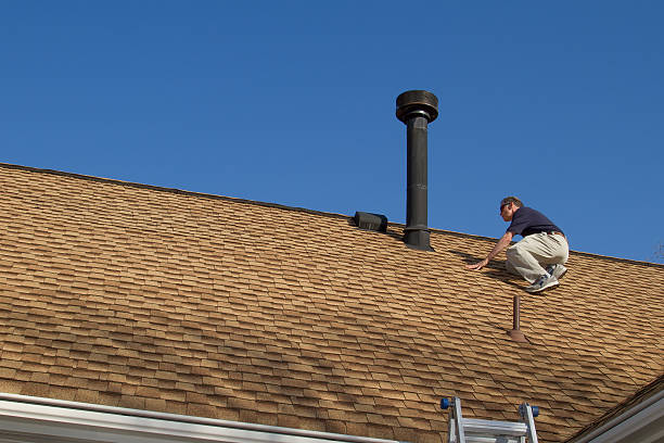 Best Roof Moss and Algae Removal  in Horse Pasture, VA
